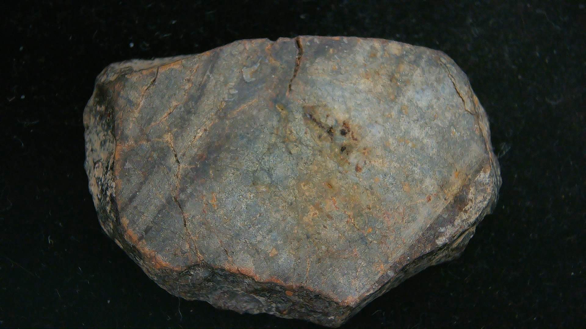 Arizona Gold Basin L4 Chondrite Meteorite 1a | Fossils for Sale