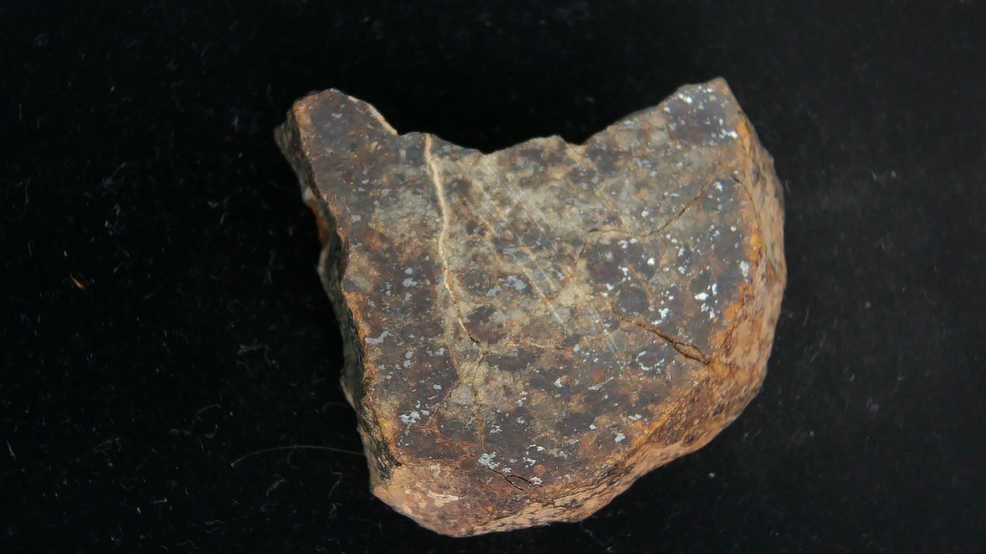 Arizona Gold Basin L4 Chondrite Meteorite 2 | Fossils for Sale