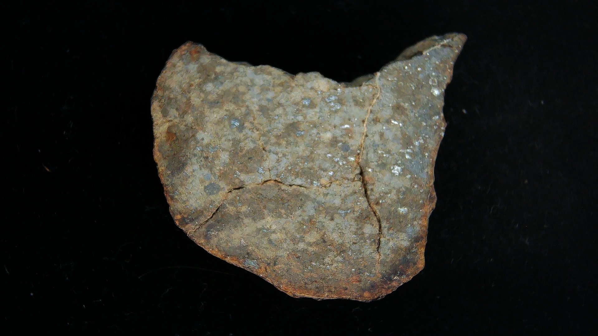Arizona Gold Basin L4 Chondrite Meteorite 2a | Fossils for Sale
