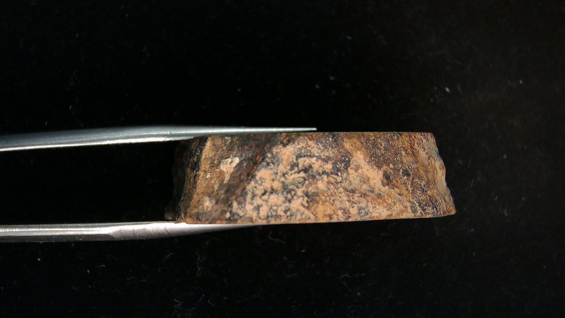 Arizona Gold Basin L4 Chondrite Meteorite 2b | Fossils for Sale