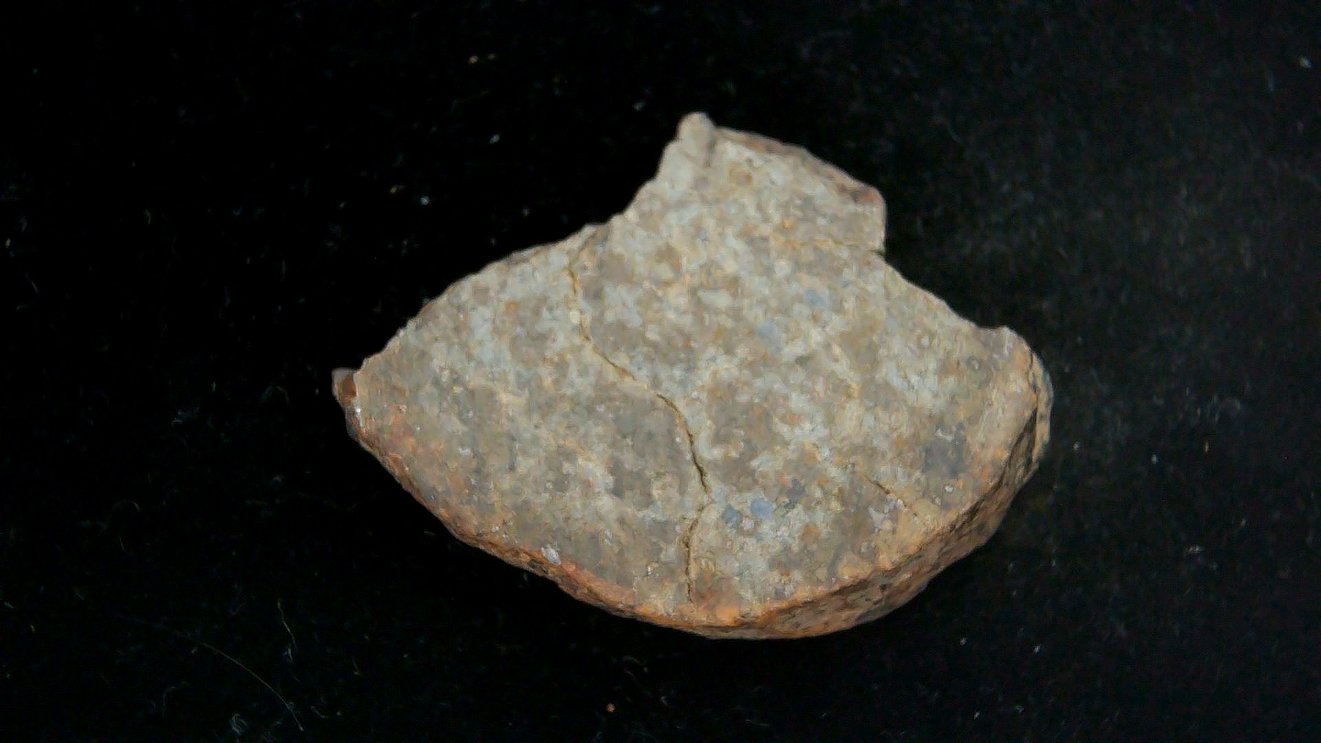 Arizona Gold Basin L4 Chondrite Meteorite 3a | Fossils for Sale