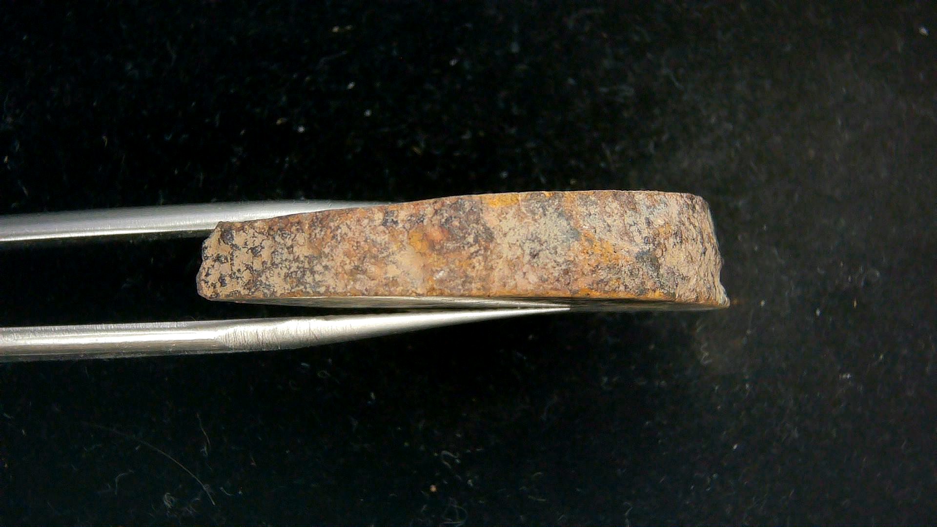 Arizona Gold Basin L4 Chondrite Meteorite 3b | Fossils for Sale