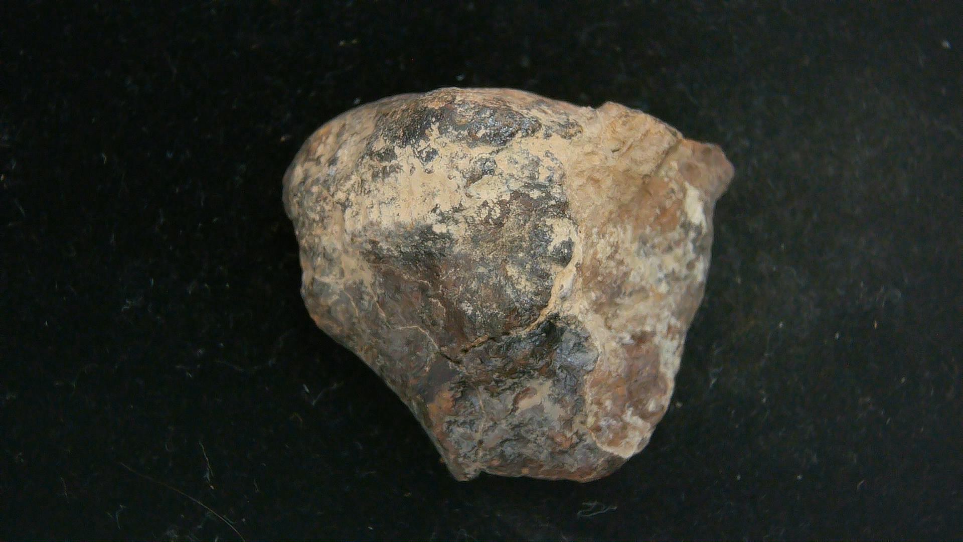 Arizona Gold Basin L4 Chondrite Meteorite 4a | Fossils for Sale