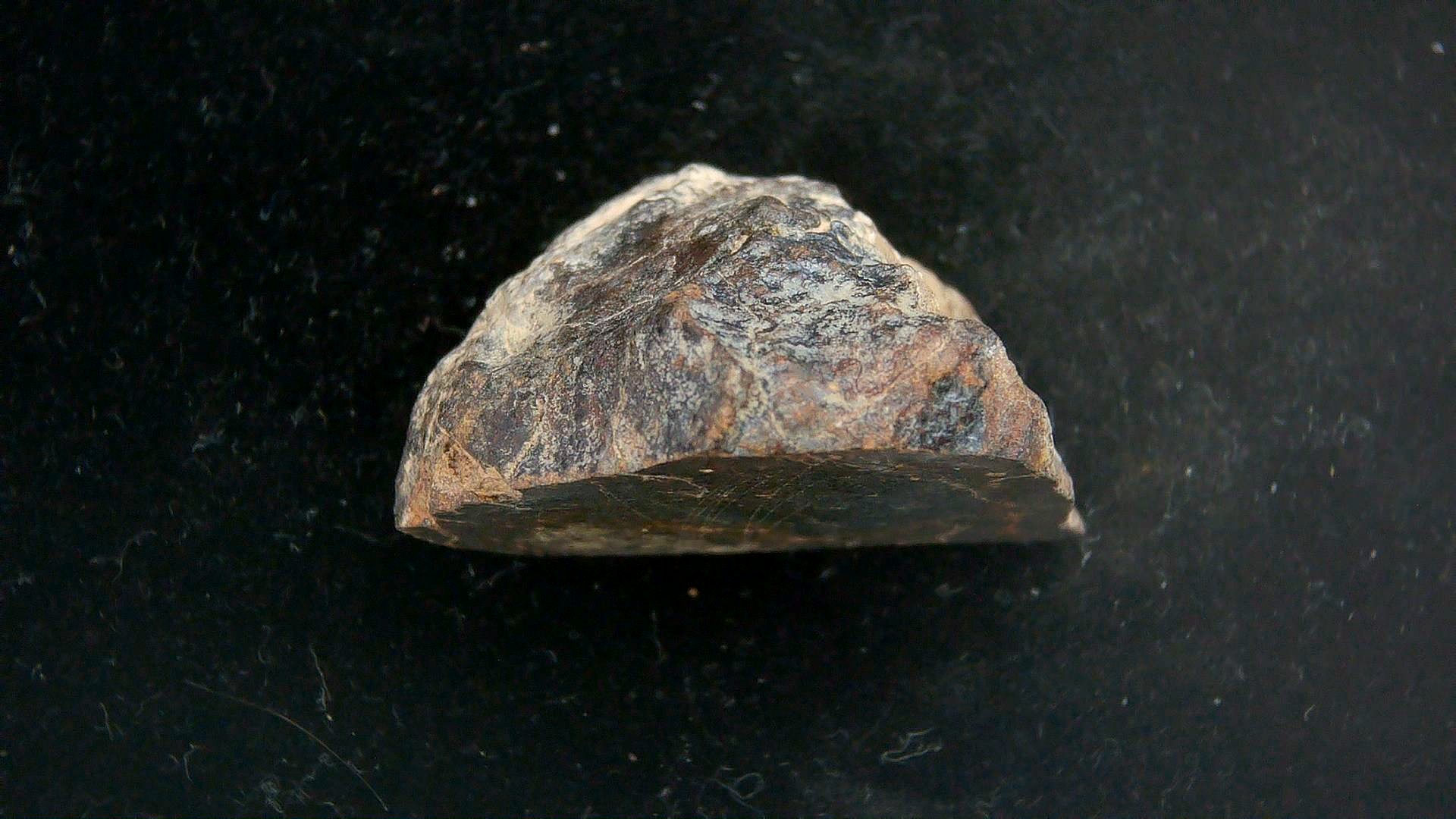 Arizona Gold Basin L4 Chondrite Meteorite 4b | Fossils for Sale