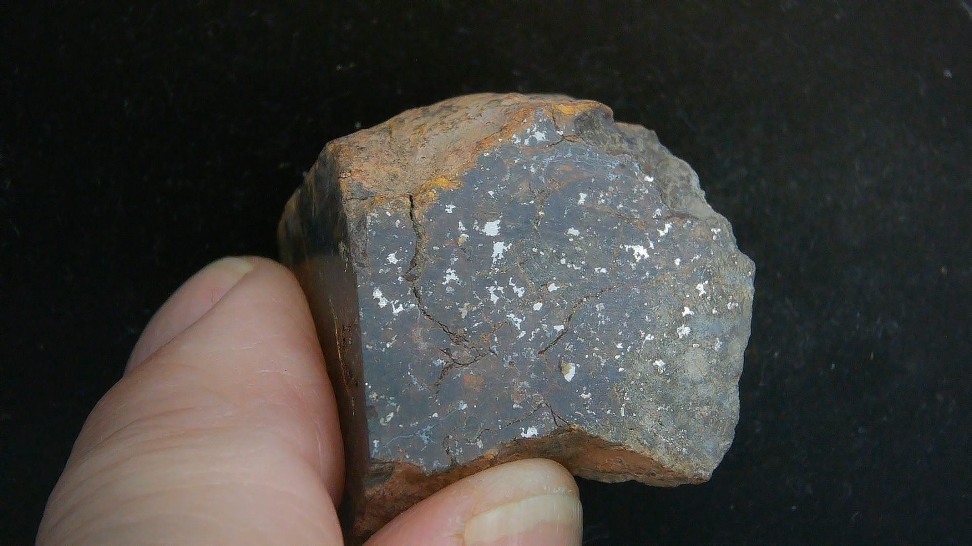 Arizona Gold Basin L4 Chondrite Meteorite 5 | Fossils for Sale