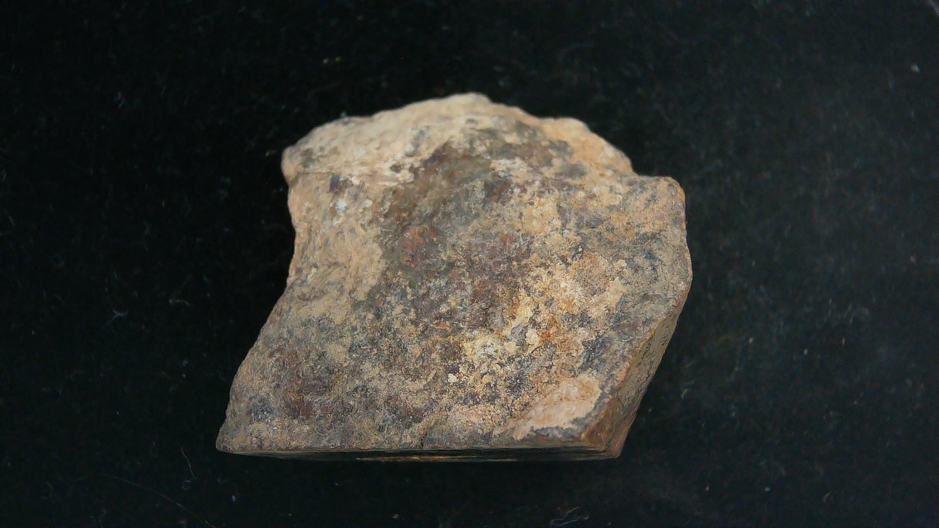 Arizona Gold Basin L4 Chondrite Meteorite 5a | Fossils for Sale