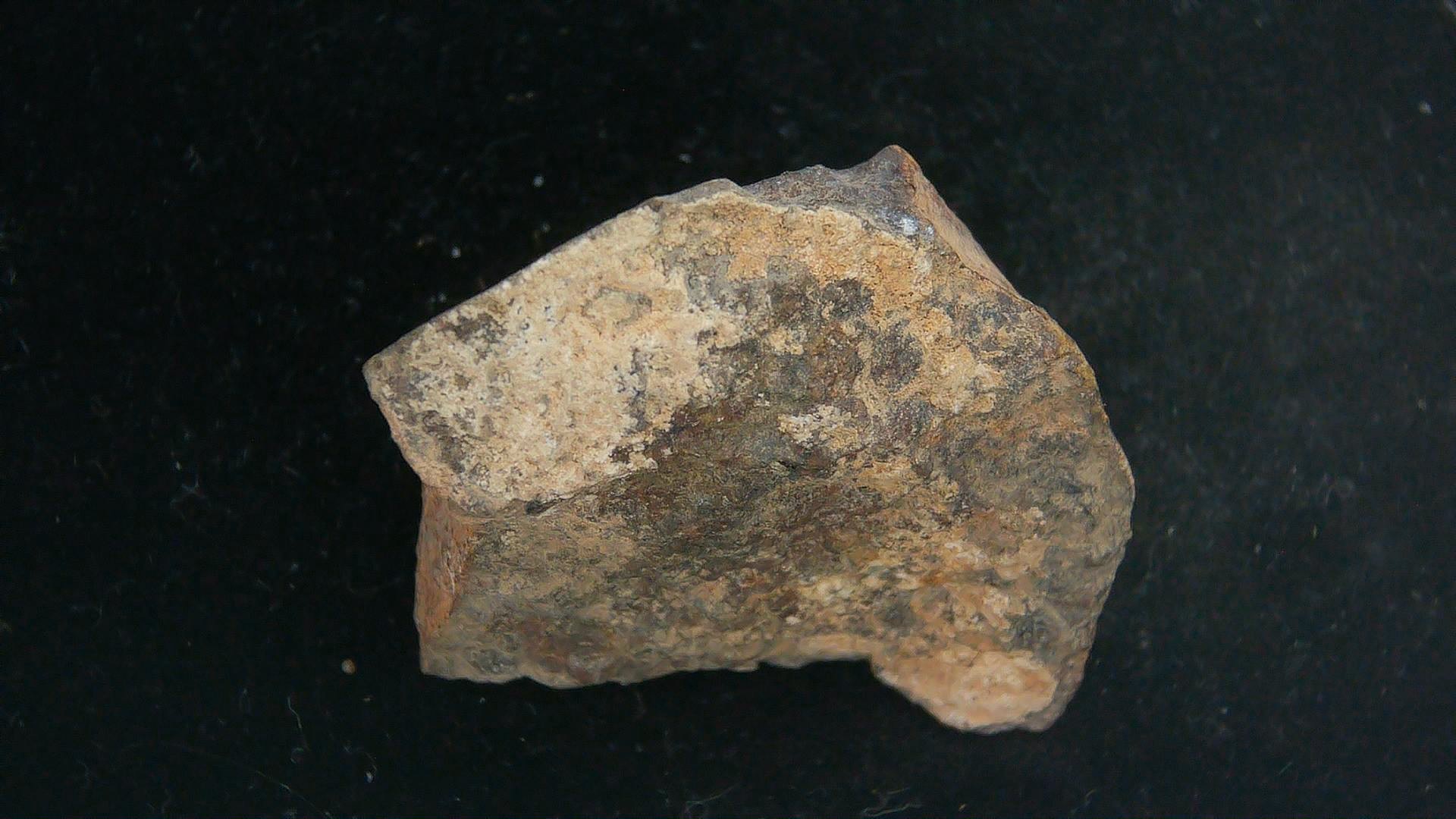 Arizona Gold Basin L4 Chondrite Meteorite 5b | Fossils for Sale
