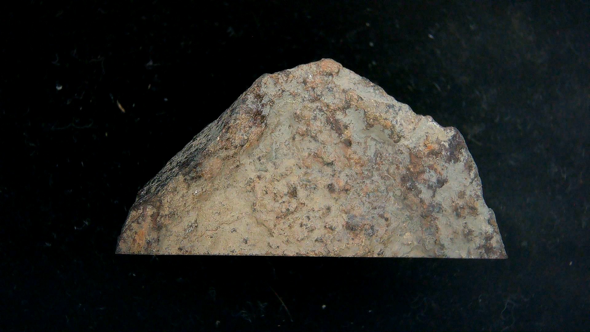 Arizona Gold Basin L4 Chondrite Meteorite 6a | Fossils for Sale