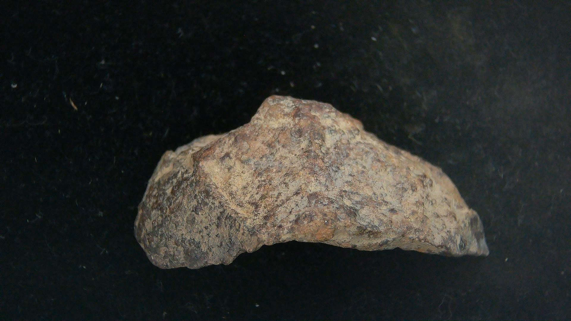 Arizona Gold Basin L4 Chondrite Meteorite 6b | Fossils for Sale