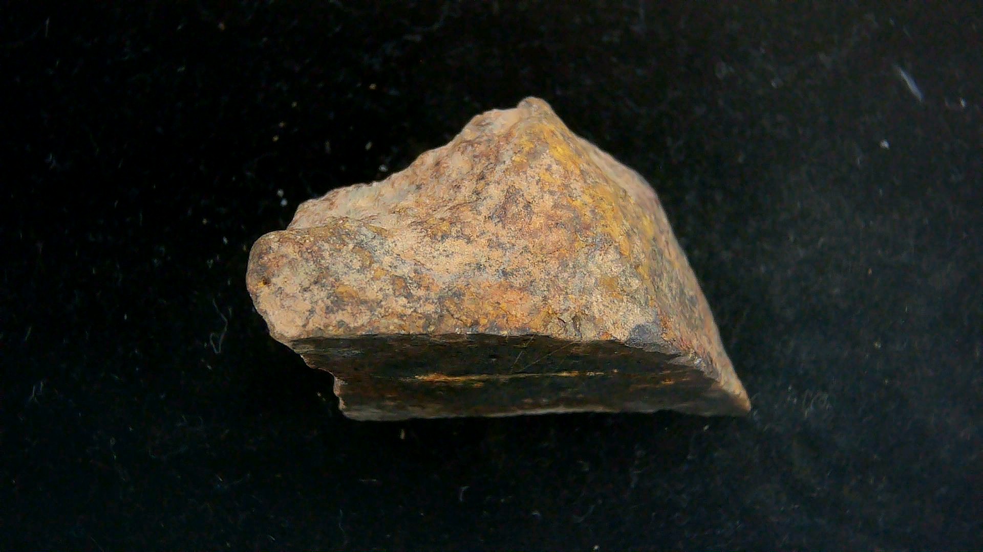 Arizona Gold Basin L4 Chondrite Meteorite 7b | Fossils for Sale
