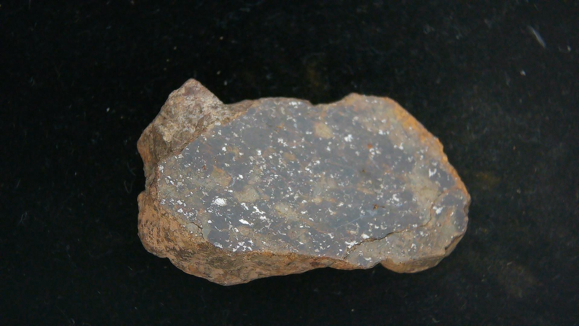Arizona Gold Basin L4 Chondrite Meteorite 8 | Fossils for Sale