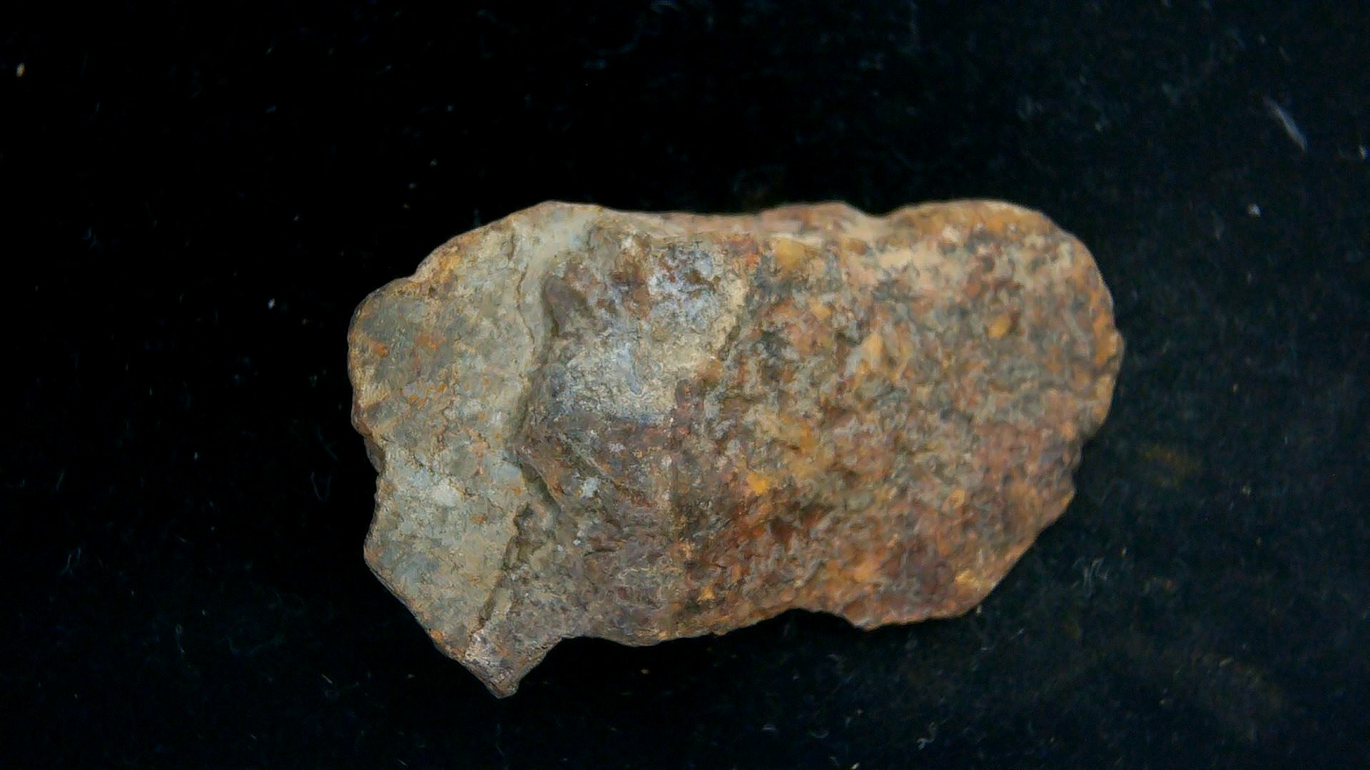 Arizona Gold Basin L4 Chondrite Meteorite 8a | Fossils for Sale