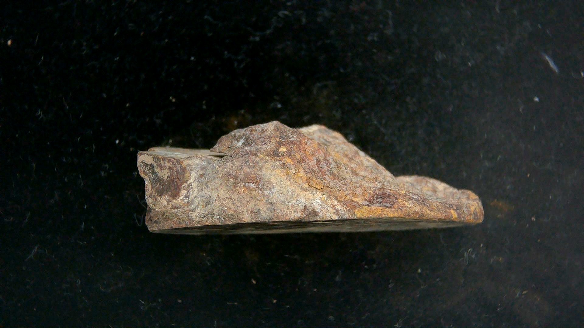 Arizona Gold Basin L4 Chondrite Meteorite 8b | Fossils for Sale