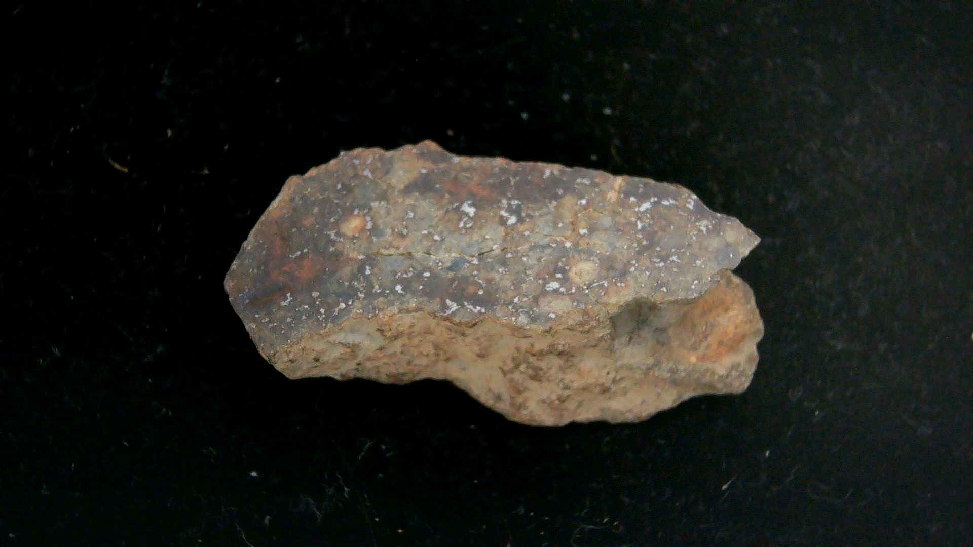 Arizona Gold Basin L4 Chondrite Meteorite 9 | Fossils for Sale