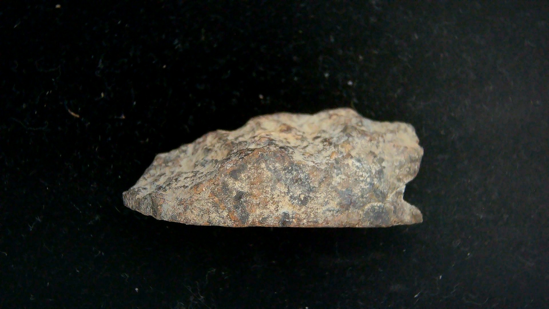 Arizona Gold Basin L4 Chondrite Meteorite 9a | Fossils for Sale