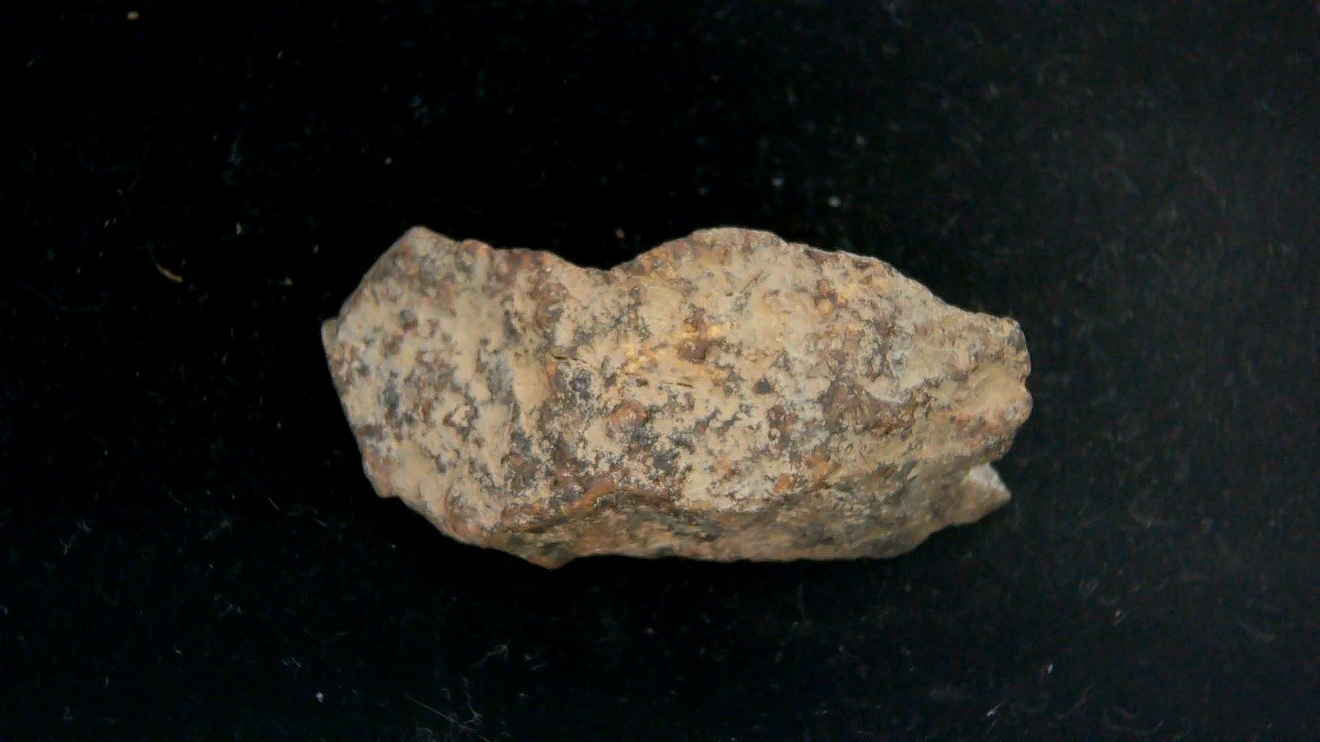 Arizona Gold Basin L4 Chondrite Meteorite 9b | Fossils for Sale