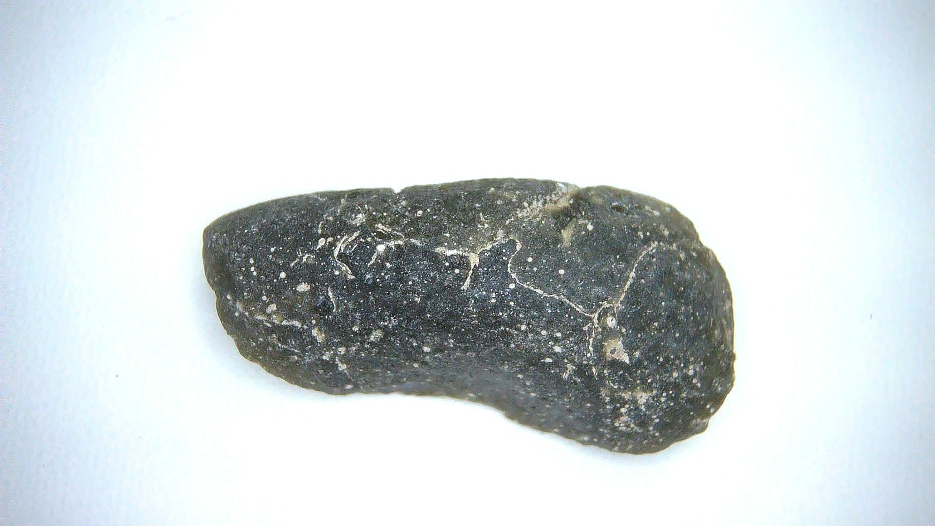 Australia Darwin Glass Meteor Impact Tektite 17a | Fossils for Sale