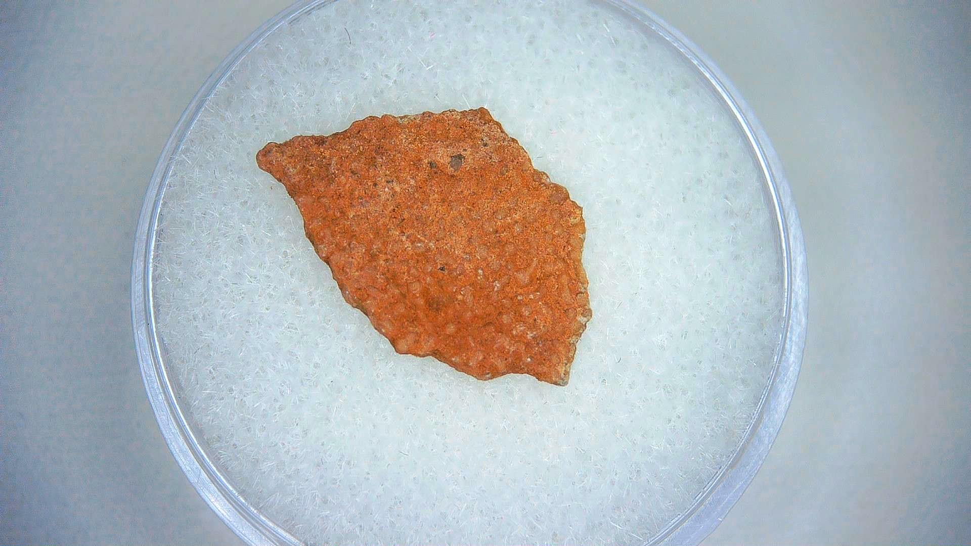 Hypselosaurus Dinosaur Egg Shell 7 | Fossils for Sale