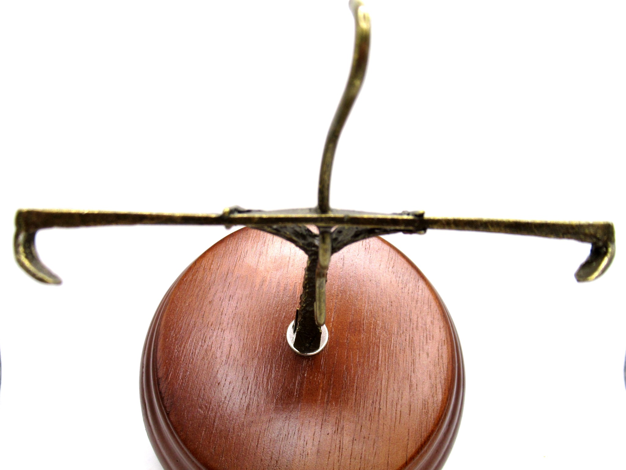 Megalodon Shark Tooth Stand Down | Fossils for Sale Genuine Megalodon Shark Tooth Stand Down for Medium to Large Teeth For Sale