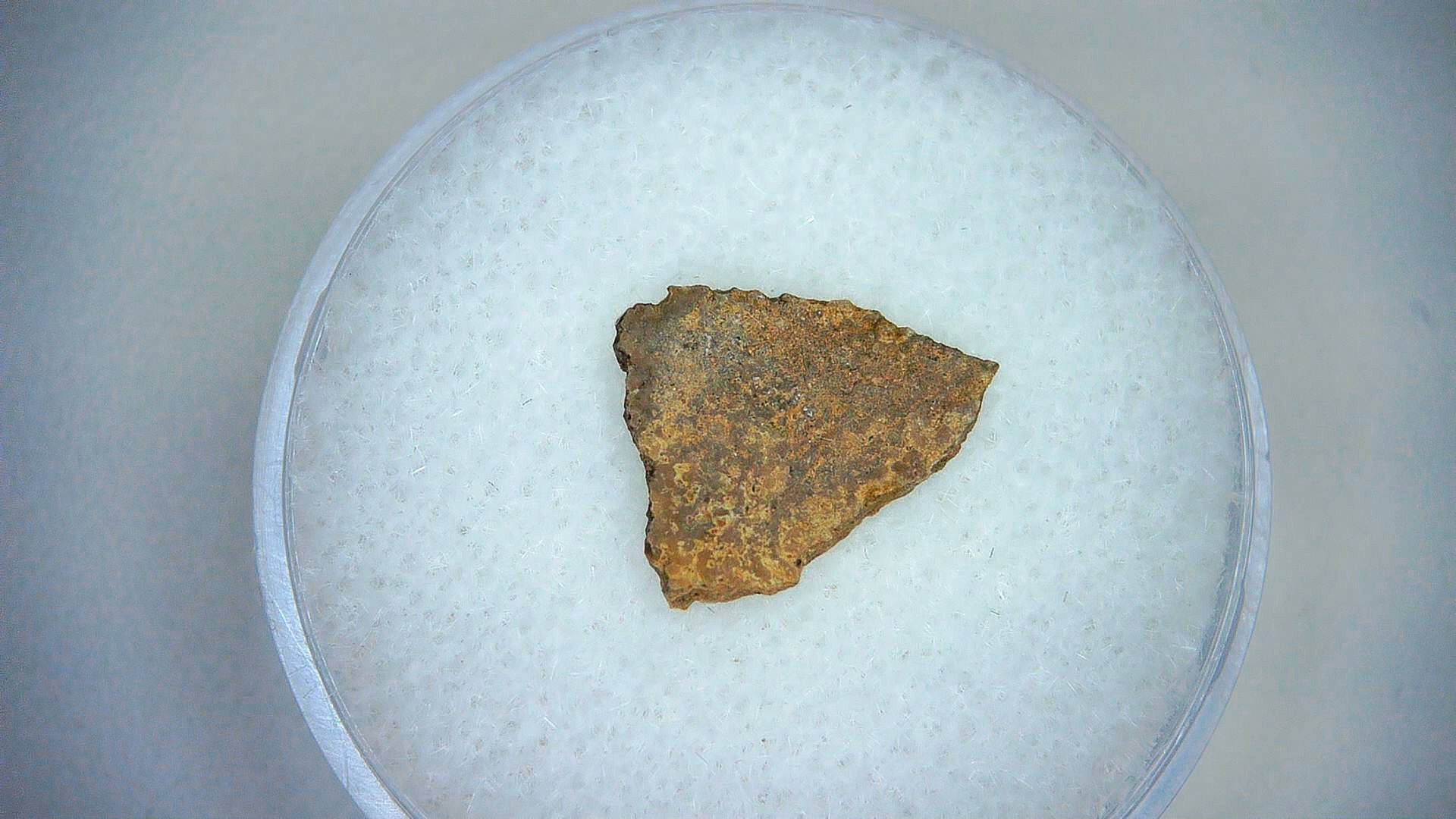 Megaloolithus Dinosaur Egg Shell 14 | Fossils for Sale Genuine Cretaceous Age Megaloolithus Dinosaur Egg Shell for Sale from Spain #14