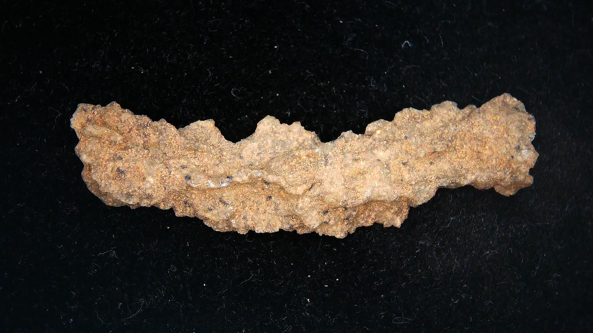 Morocco North Africa Fulgurite - Fossil Lightning 2a | Fossils for Sale Genuine Fulgurite “Fossil Lightening” from Sahara Desert N. Africa for Sale #2a