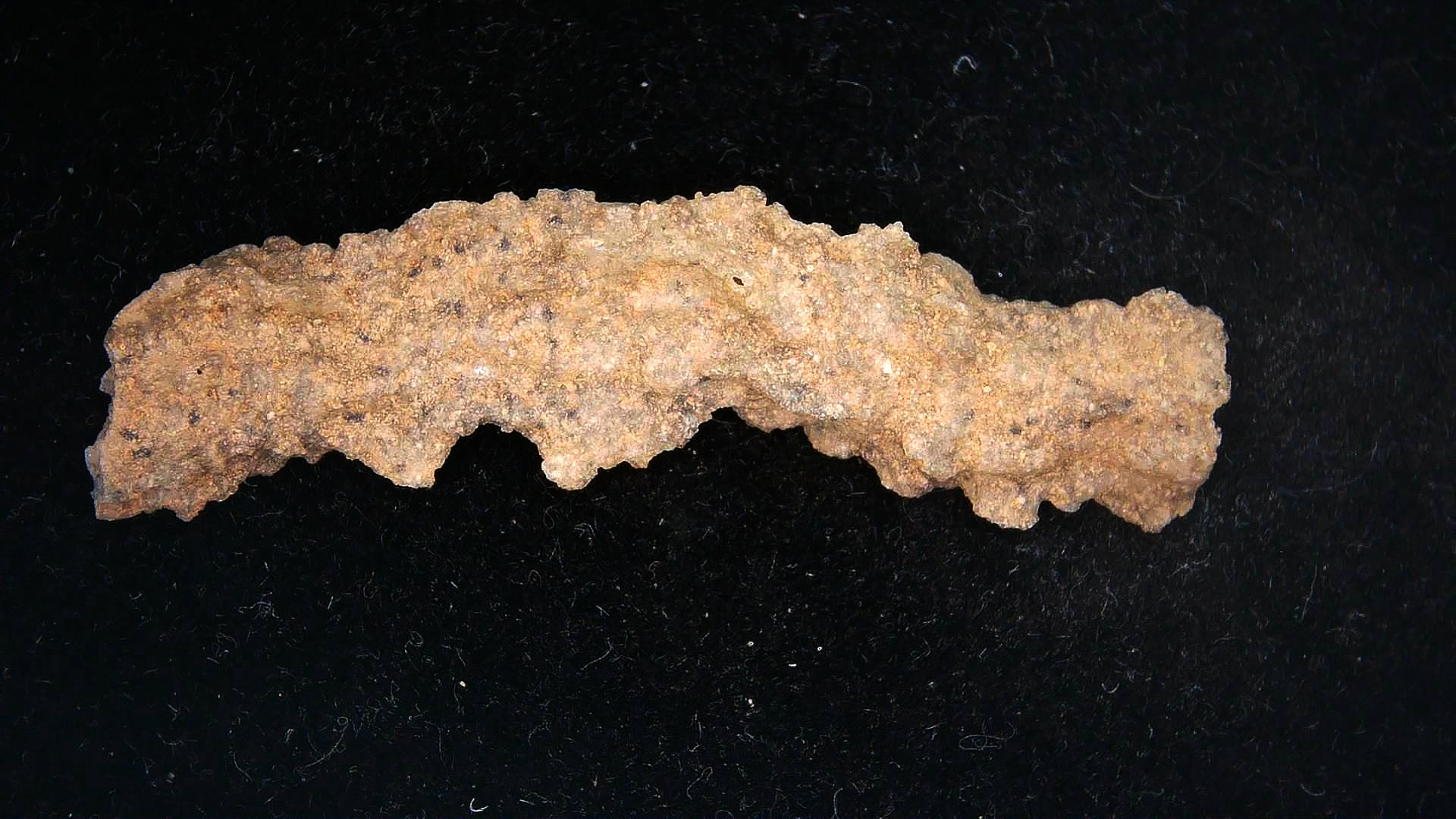 Morocco North Africa Fulgurite - Fossil Lightning 2b | Fossils for Sale Genuine Fulgurite “Fossil Lightening” from Sahara Desert N. Africa for Sale #2b