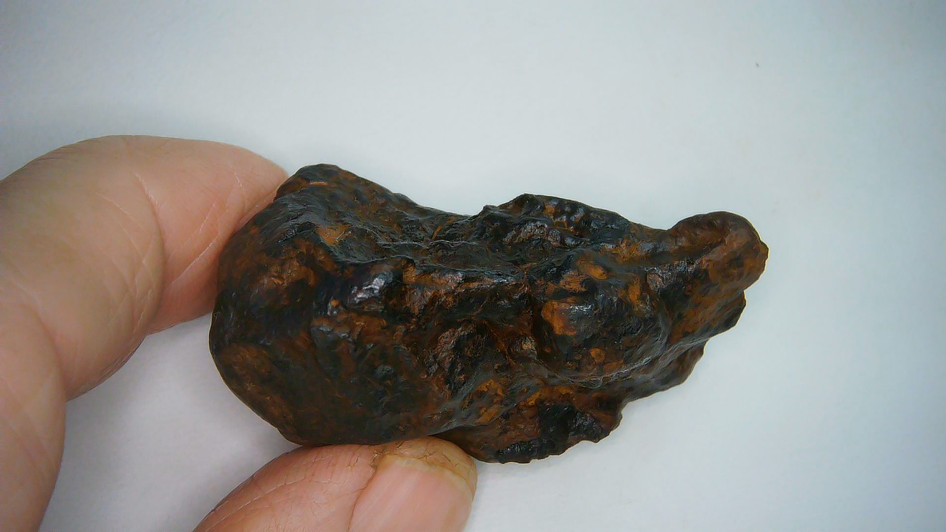 Nantan Chinese Iron Meteorite Fragment 12c | Fossils for Sale