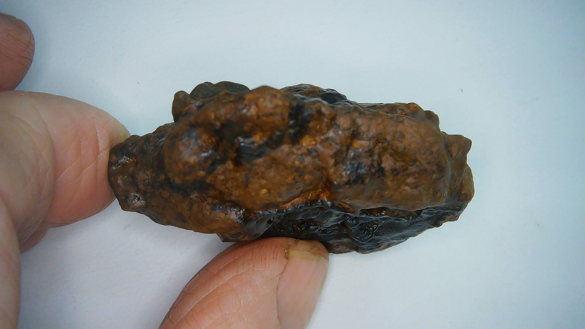 Nantan Chinese Iron Meteorite Fragment 1d | Fossils for Sale