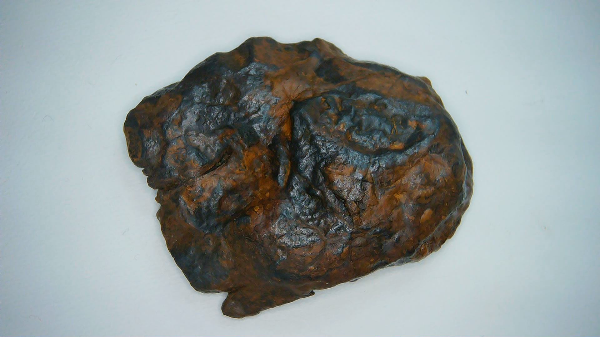 Nantan Chinese Iron Meteorite Fragment 2a | Fossils for Sale