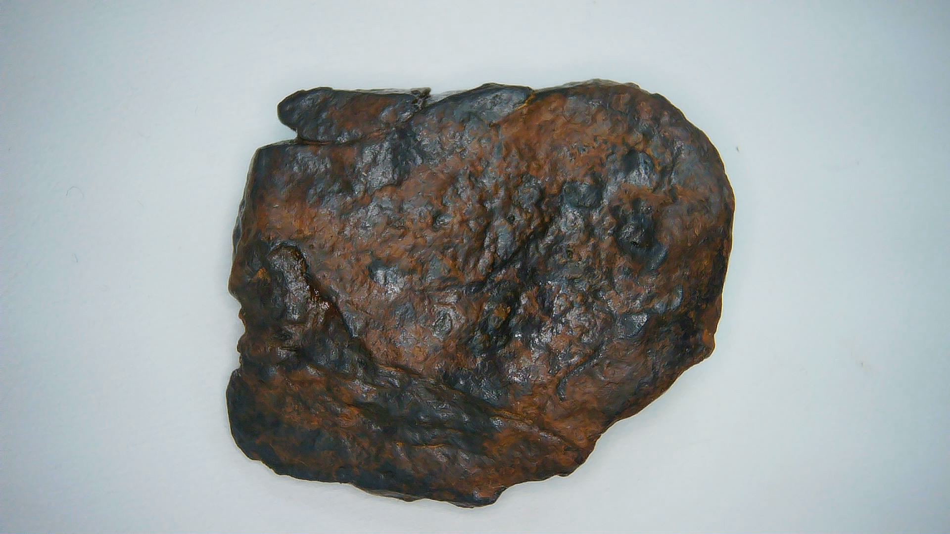 Nantan Chinese Iron Meteorite Fragment 2b | Fossils for Sale