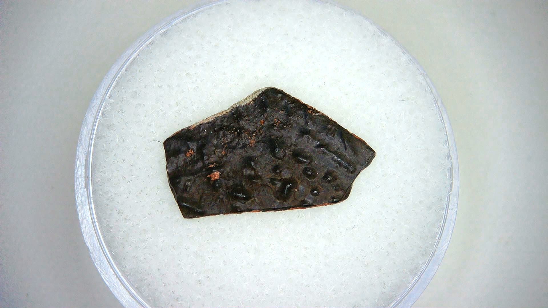 Oviraptor Dinosaur Egg Shell 14 | Fossils for Sale Genuine Oviraptor Dinosaur Egg Shell Fossil For Sale #14