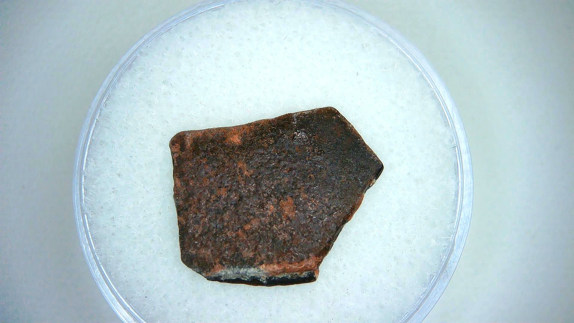 Oviraptor Dinosaur Egg Shell 8 | Fossils for Sale Genuine Oviraptor Dinosaur Egg Shell Fossil For Sale #8