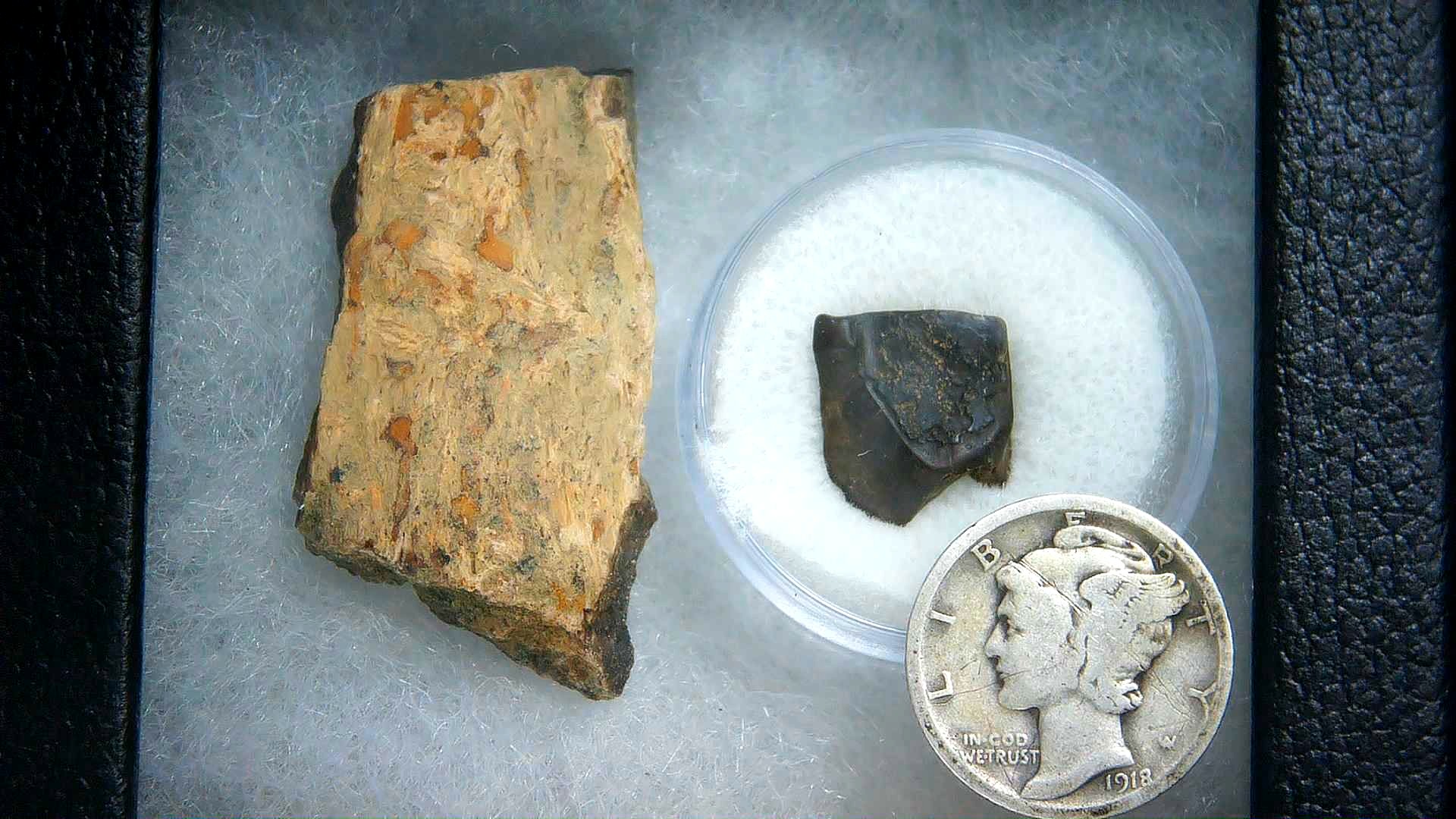 South Dakota Cretaceous Triceratops Frill & Tooth Set Small 2a | Fossils for Sale Genuine Cretaceous Age Triceratops Frill & Tooth Small Fossils for Sale from South Dakota #2a