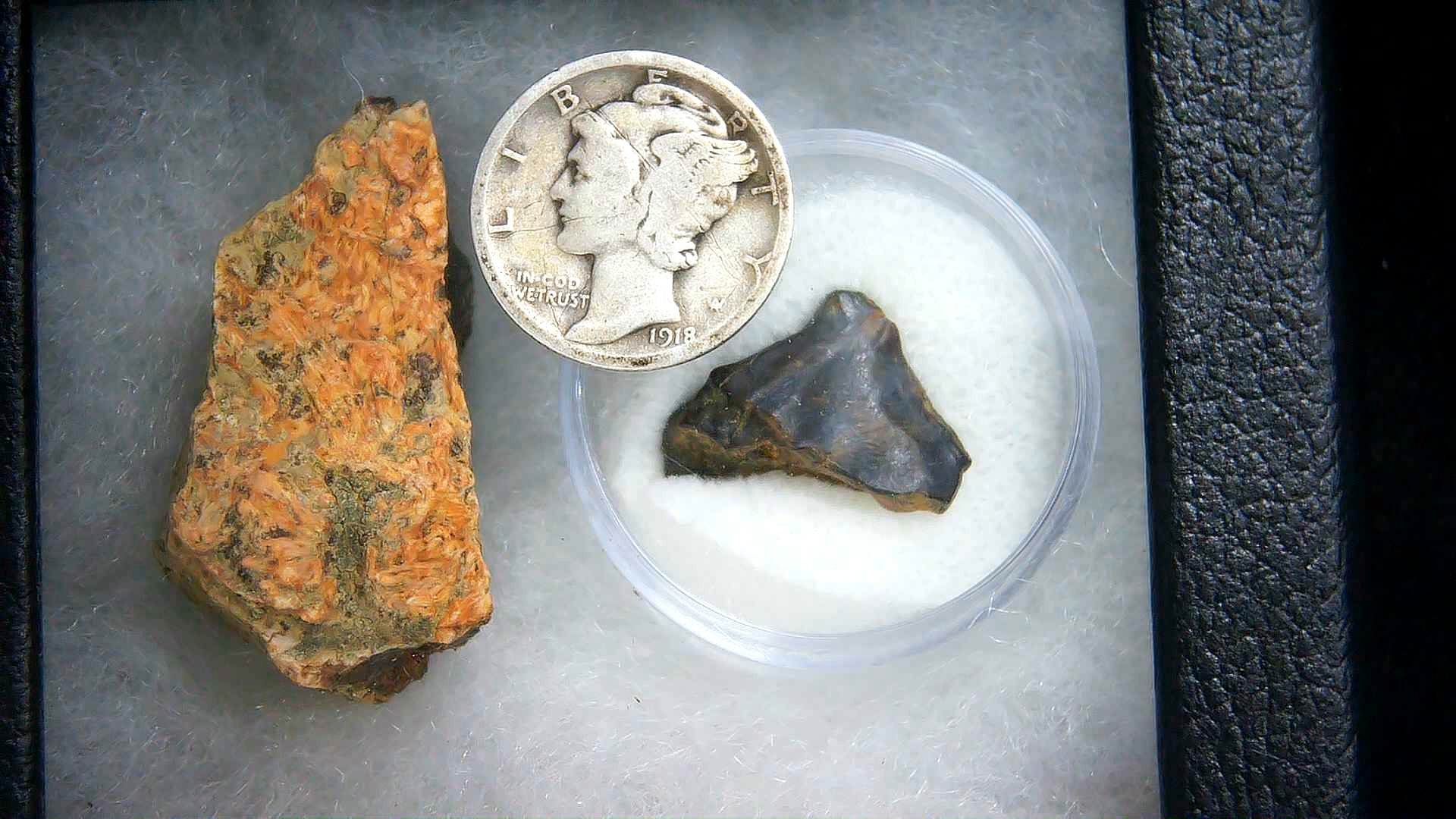 South Dakota Cretaceous Triceratops Frill & Tooth Set Small 3a | Fossils for Sale Genuine Cretaceous Age Triceratops Frill & Tooth Small Fossils for Sale from South Dakota #3a