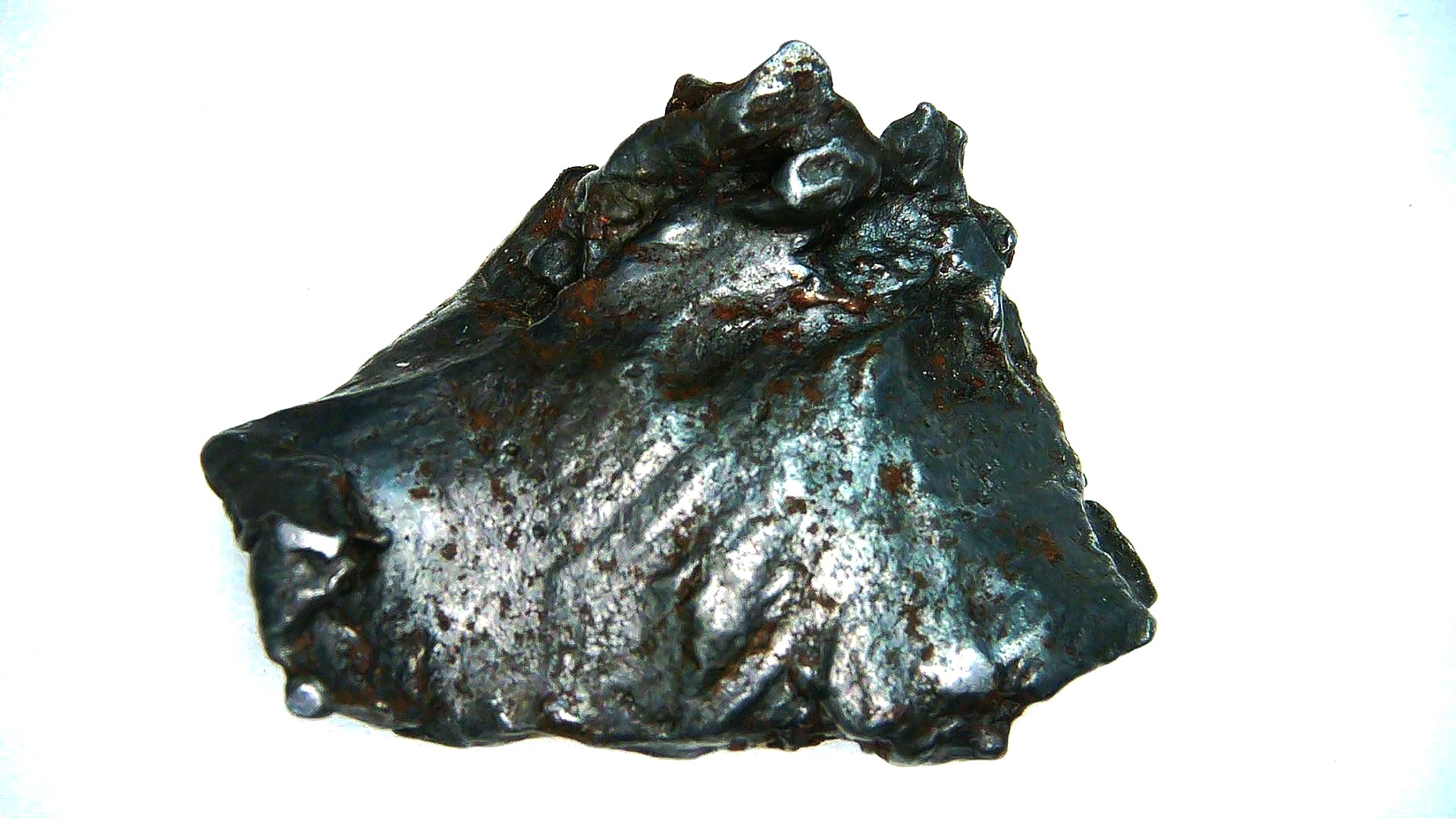 Arizona Canyon Diabloe Iron Meteorite 1 | Fossils for Sale Genuine Canyon Diablo Iron Meteorite For Sale From Arizona #1