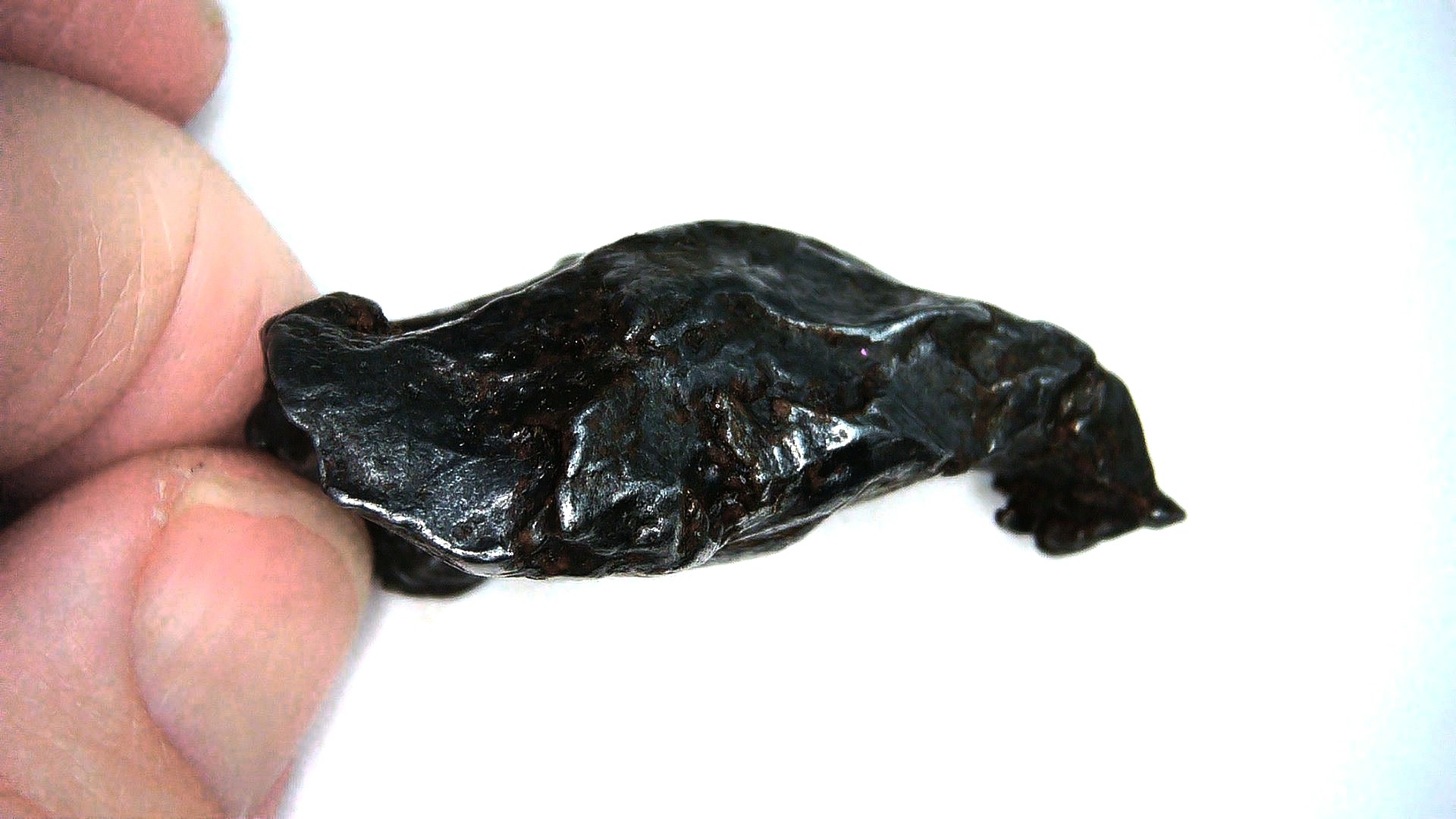 Arizona Canyon Diabloe Iron Meteorite 1c | Fossils for Sale Genuine Canyon Diablo Iron Meteorite For Sale From Arizona #1c