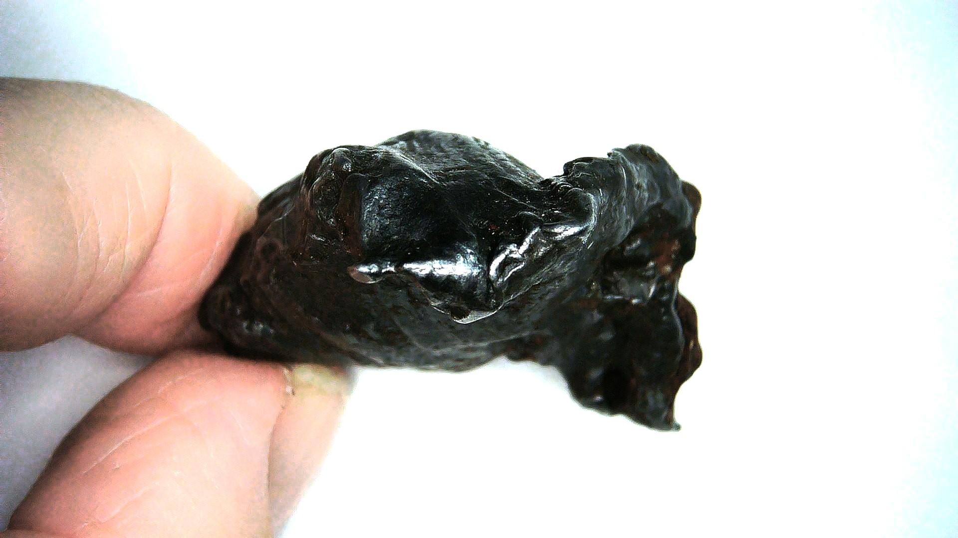Arizona Canyon Diabloe Iron Meteorite 1d | Fossils for Sale Genuine Canyon Diablo Iron Meteorite For Sale From Arizona #1d