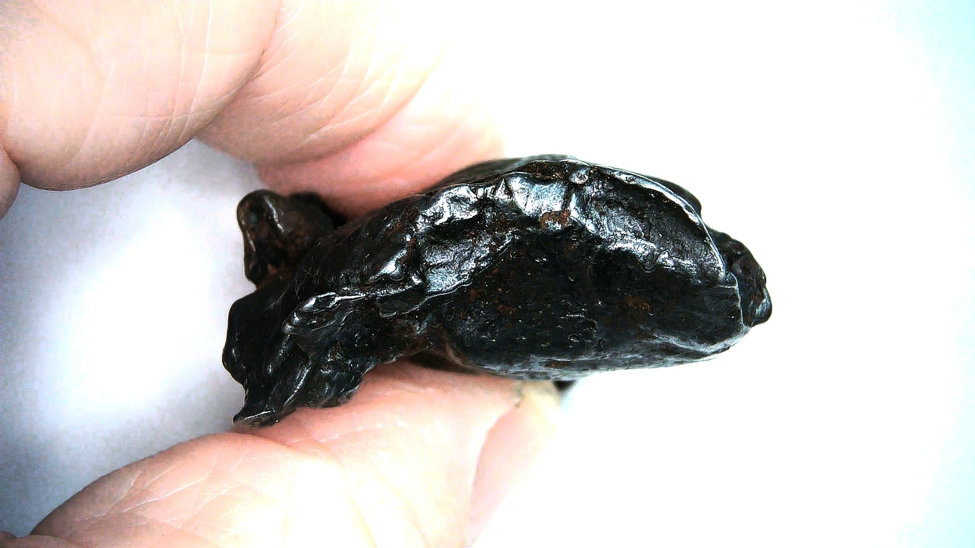 Arizona Canyon Diabloe Iron Meteorite 1e | Fossils for Sale Genuine Canyon Diablo Iron Meteorite For Sale From Arizona #1e