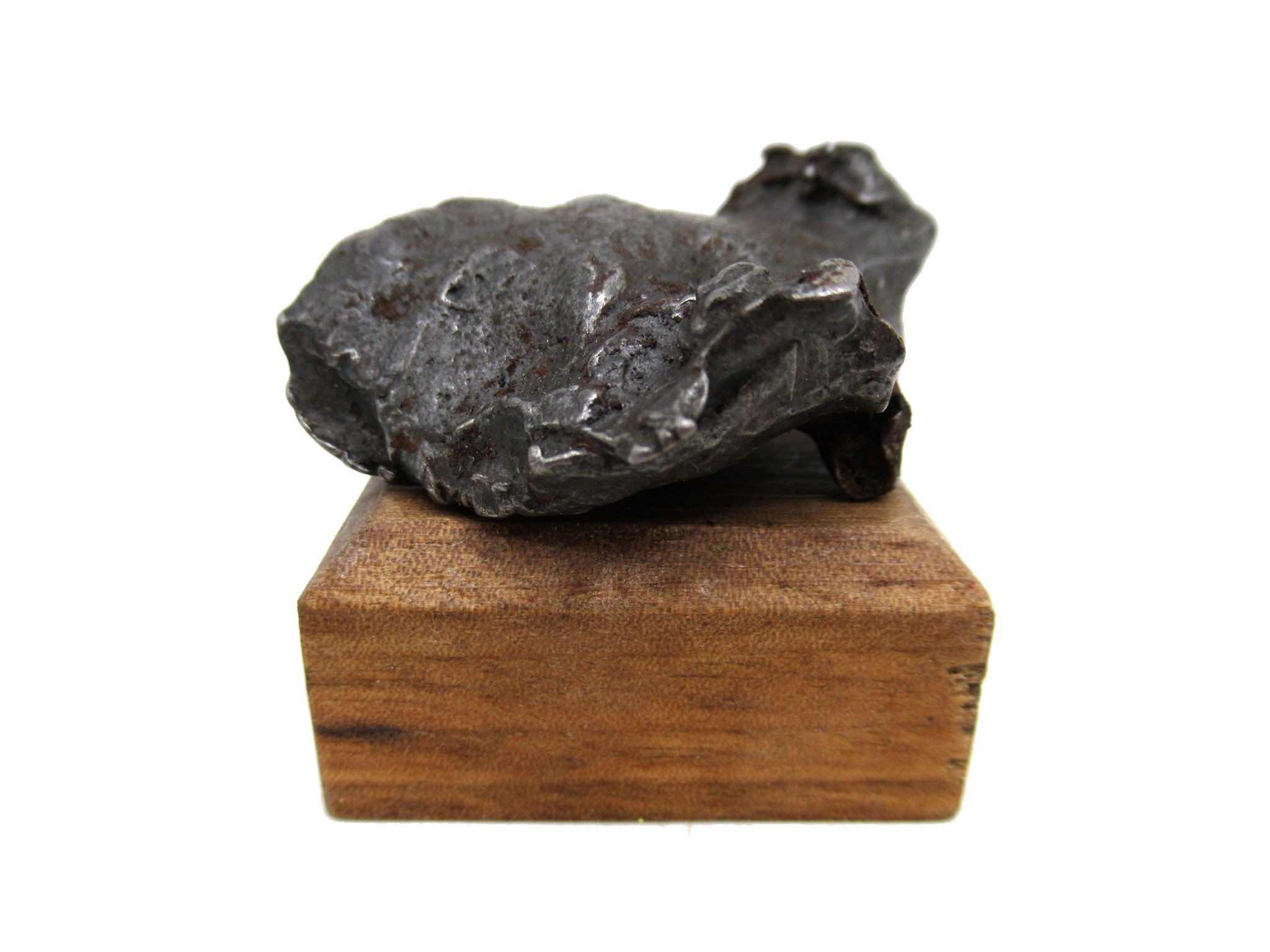 Arizona Canyon Diablo Iron Meteorite 1f | Fossils for Sale Genuine Canyon Diablo Iron Meteorite For Sale From Arizona #1f
