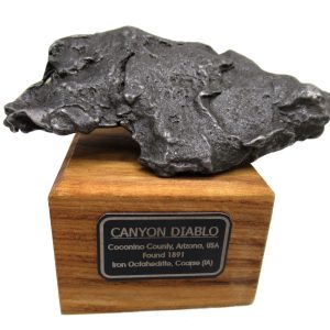 Canyon Diablo Arizona Meteorite For Sale Genuine Meteorite #2 (275.1 grams)