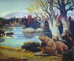 Beaver