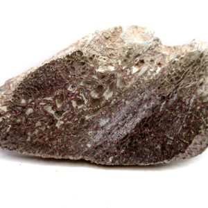 Morocco Cretaceous Polished Dinosaur Bone Slice 104 | Fossils for Sale Genuine Cretaceous Age Polished Dinosaur Bone Slice for Sale from Morocco #104