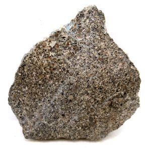 Morocco Cretaceous Polished Dinosaur Bone Slice 107 | Fossils for Sale Genuine Cretaceous Age Polished Dinosaur Bone Slice for Sale from Morocco #107