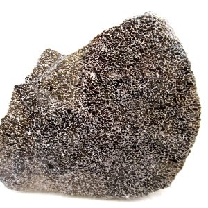 Morocco Cretaceous Polished Dinosaur Bone Slice 76 | Fossils for Sale Genuine Cretaceous Age Polished Dinosaur Bone Slice for Sale from Morocco #76