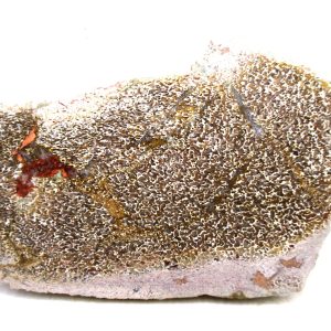 Morocco Cretaceous Polished Dinosaur Bone Slice 77 | Fossils for Sale Genuine Cretaceous Age Polished Dinosaur Bone Slice for Sale from Morocco #77