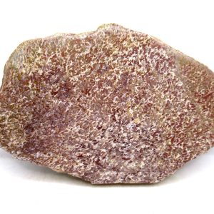 Morocco Cretaceous Polished Dinosaur Bone Slice 78 | Fossils for Sale Genuine Cretaceous Age Polished Dinosaur Bone Slice for Sale from Morocco #78