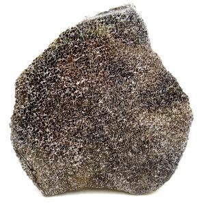 Morocco Cretaceous Polished Dinosaur Bone Slice 87 | Fossils for Sale Genuine Cretaceous Age Polished Dinosaur Bone Slice for Sale from Morocco #87