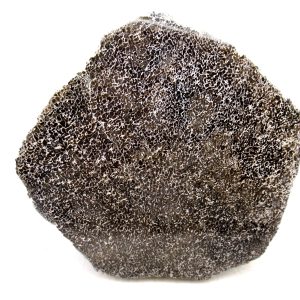 Morocco Cretaceous Polished Dinosaur Bone Slice 89 | Fossils for Sale Genuine Cretaceous Age Polished Dinosaur Bone Slice for Sale from Morocco #89