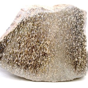 Morocco Cretaceous Polished Dinosaur Bone Slice 94 | Fossils for Sale Genuine Cretaceous Age Polished Dinosaur Bone Slice for Sale from Morocco #94