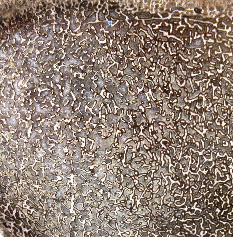 Morocco Cretaceous Polished Dinosaur Bone Slice 99b | Fossils for Sale Genuine Cretaceous Age Polished Dinosaur Bone Slice for Sale from Morocco #99b